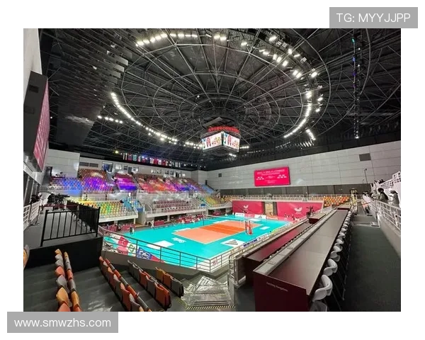 杭州排球队在冠军赛中的精彩表现与状态分析